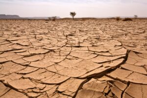 Il globo si scaldò pure nel Paleozoico e non era (solo) per colpa della CO2