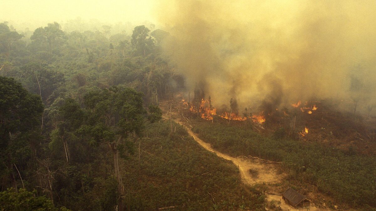 Roghi, disboscamenti, un’autostrada. Così il verde Lula sfigura l’Amazzonia