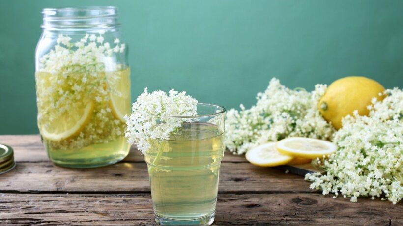 Con i fiori di sambuco la fine dell’estate è simbolo di rinascita