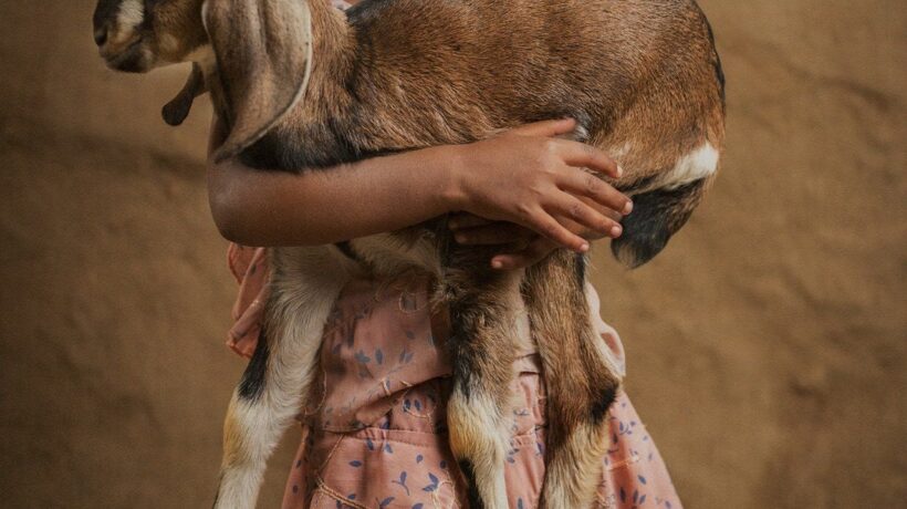 Reborn:l'anima  dell'India in mostra a Torino