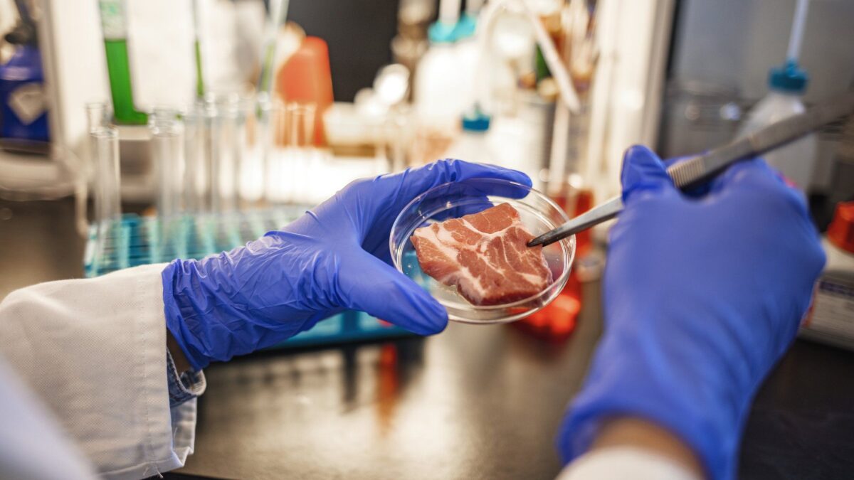 Per la Corte Ue le polpette di soia si possono vendere come carne