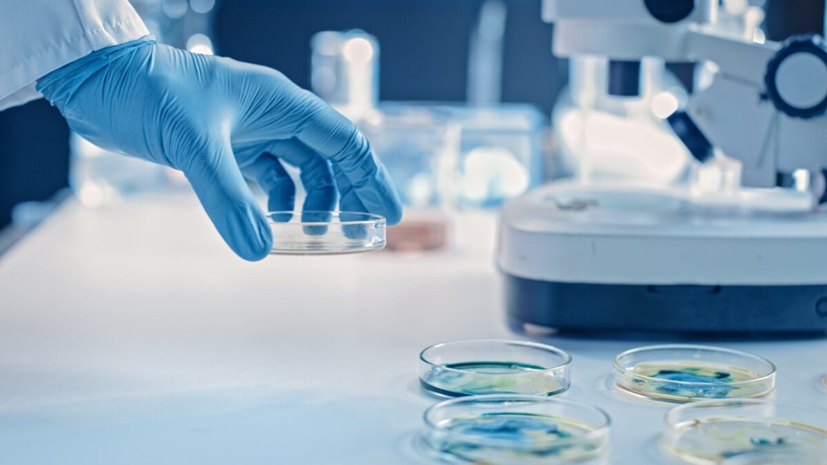 La resistenza agli antibiotici diventa la «nuova pandemia». E la cura è sempre il vaccino