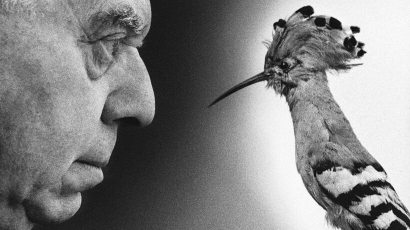Ugo Mulas in mostra a Palazzo Reale di Milano