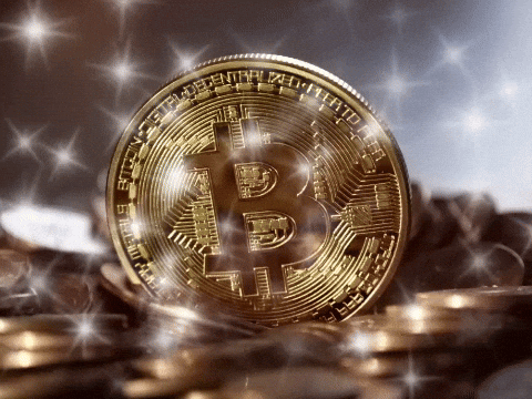 Record assoluto dei Bitcoin. Criptovalute, guida agli investimenti