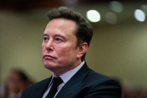 La Germania verso un governo pacifista. Musk tira dritto ed elogia ancora Afd