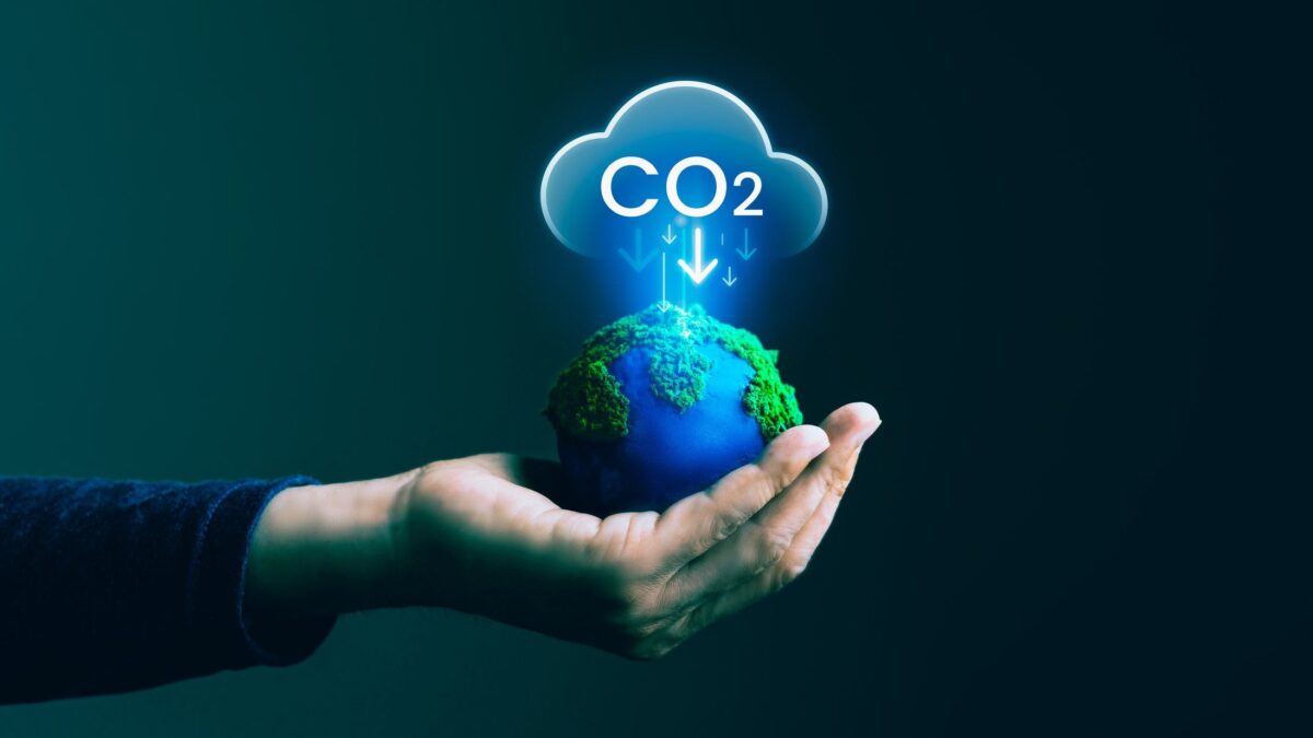 La tanto calunniata CO2 è cibo per il pianeta