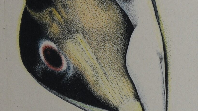 Alberto Martini ed Edgar Allan Poe in mostra a Oderzo