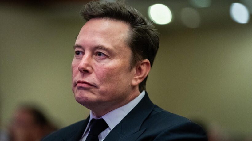 Da Starlink a Tiktok: gli «scoop» anti Elon