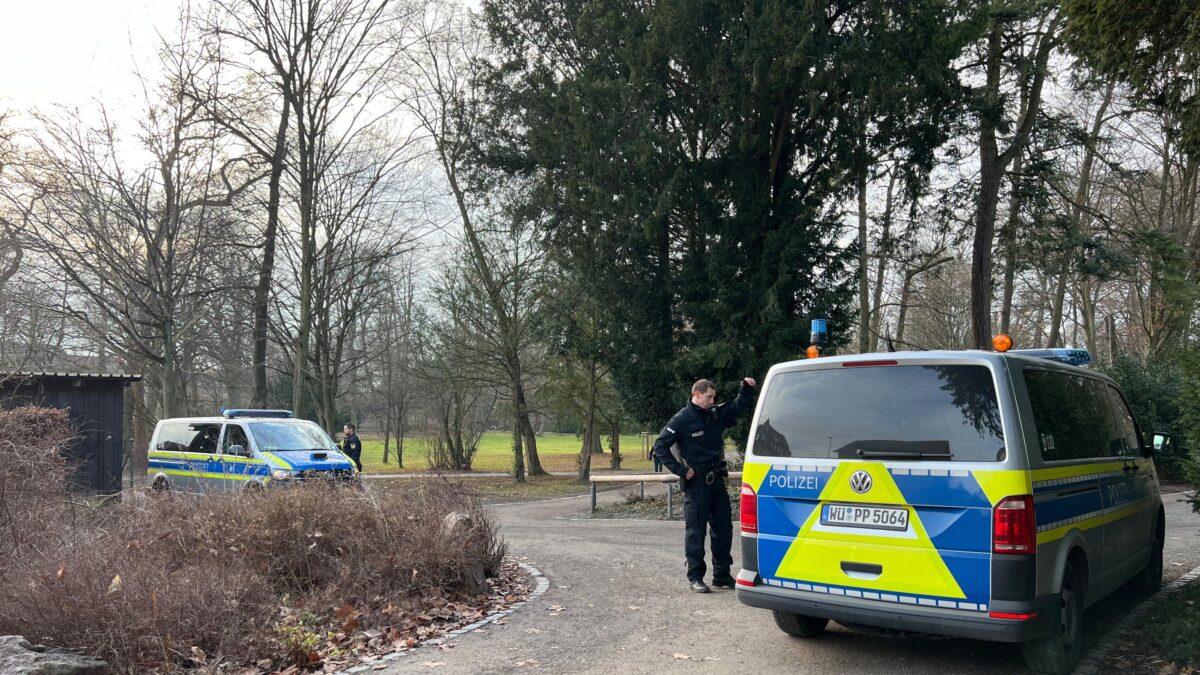 Afgano pugnala i passanti: morto un bimbo