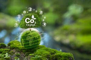 E negli Usa finalmente si riconosce che l’anidride carbonica fa bene