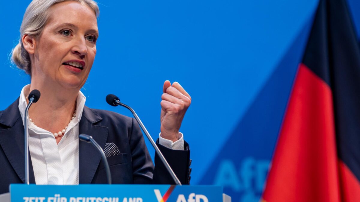 Il Bundestag affonda la legge sui migranti. Afd gode: «Si cambia solo se ci siamo noi»