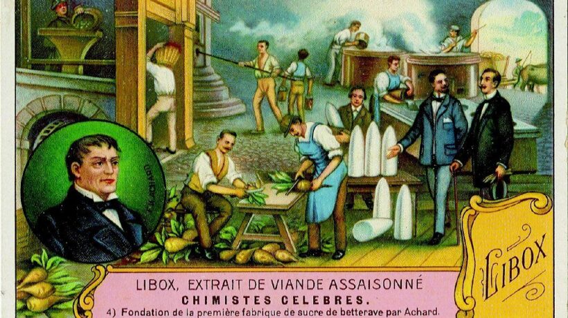 Teste di rapa? Lo erano anche egizi e romani