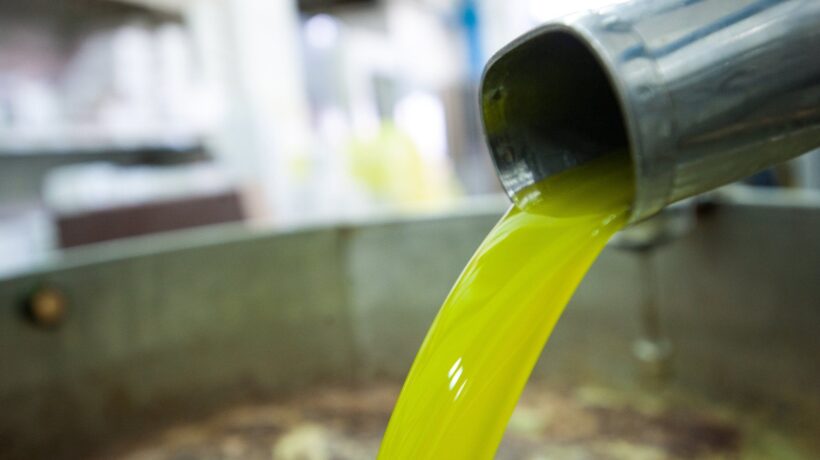 Nonostante i diktat dell’Ue l’olio italiano cresce ancora. E non teme i dazi degli Usa