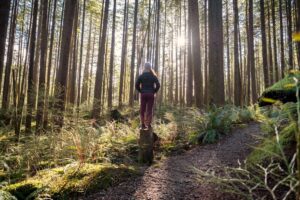 Dove fare forest bathing in Italia