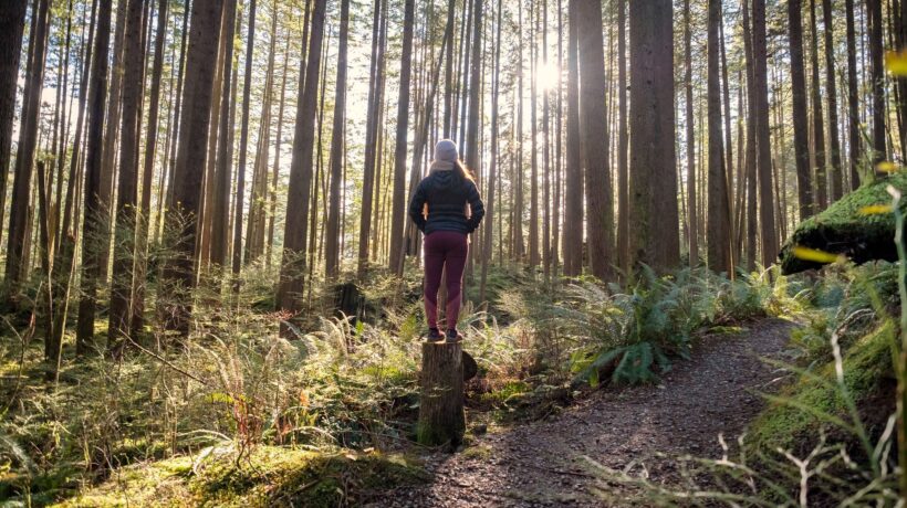 Dove fare forest bathing in Italia