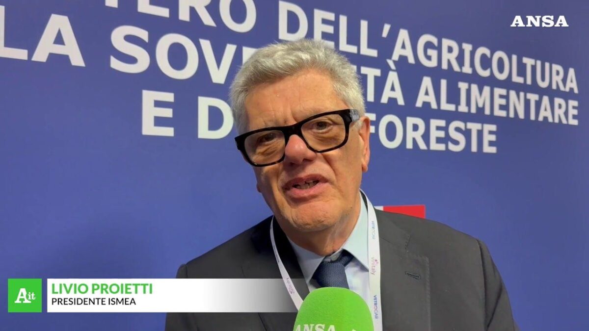 Vinitaly, Ismea: «L’Italia dei vini vale 14 miliardi»