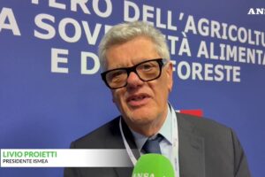 Vinitaly, Ismea: «L’Italia dei vini vale 14 miliardi»