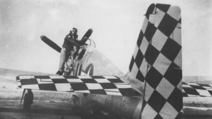 Caccia P-51 Mustang del 317° Fighter Squadron