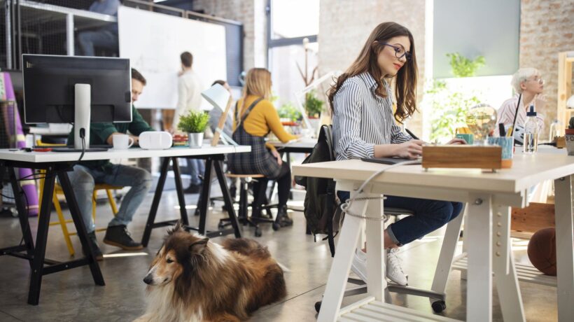 I cani in ufficio sono ancora un mezzo tabù. Ma con Fido a fianco lavoriamo tutti meglio