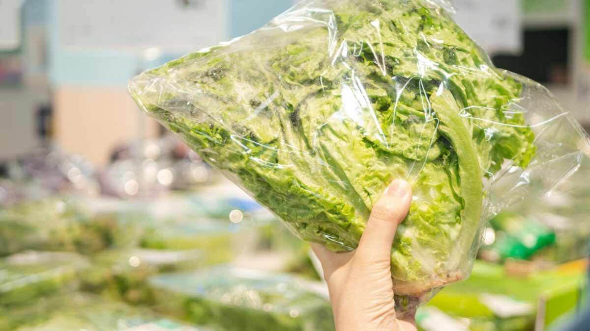 Dal campo alla busta. L’insalata pronta (se ben conservata) ci semplifica la vita