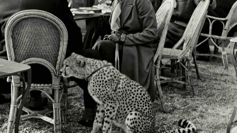 Alfred Eisenstaedt in mostra  a Torino