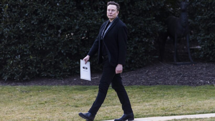 Mr Tesla lancia il suo partito e punta a diventare decisivo al Congresso
