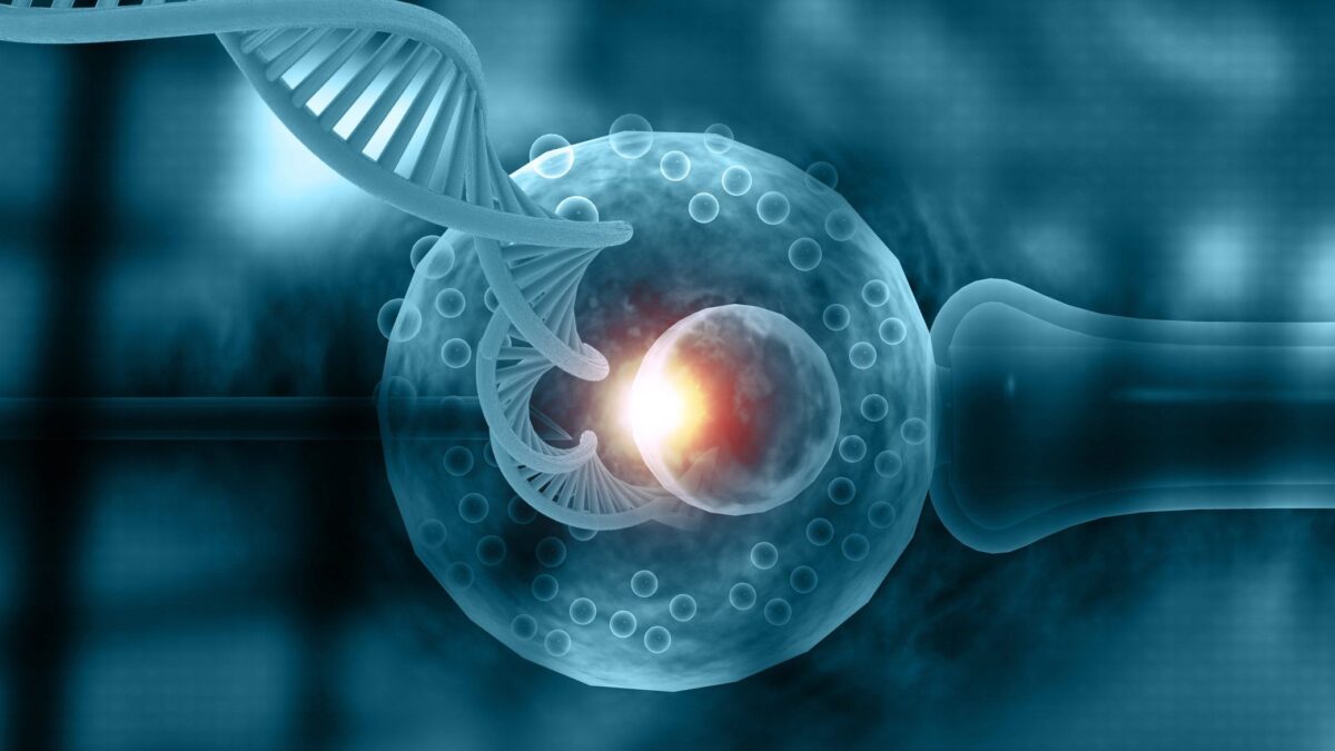 La svolta inglese: bimbi nati con tre Dna