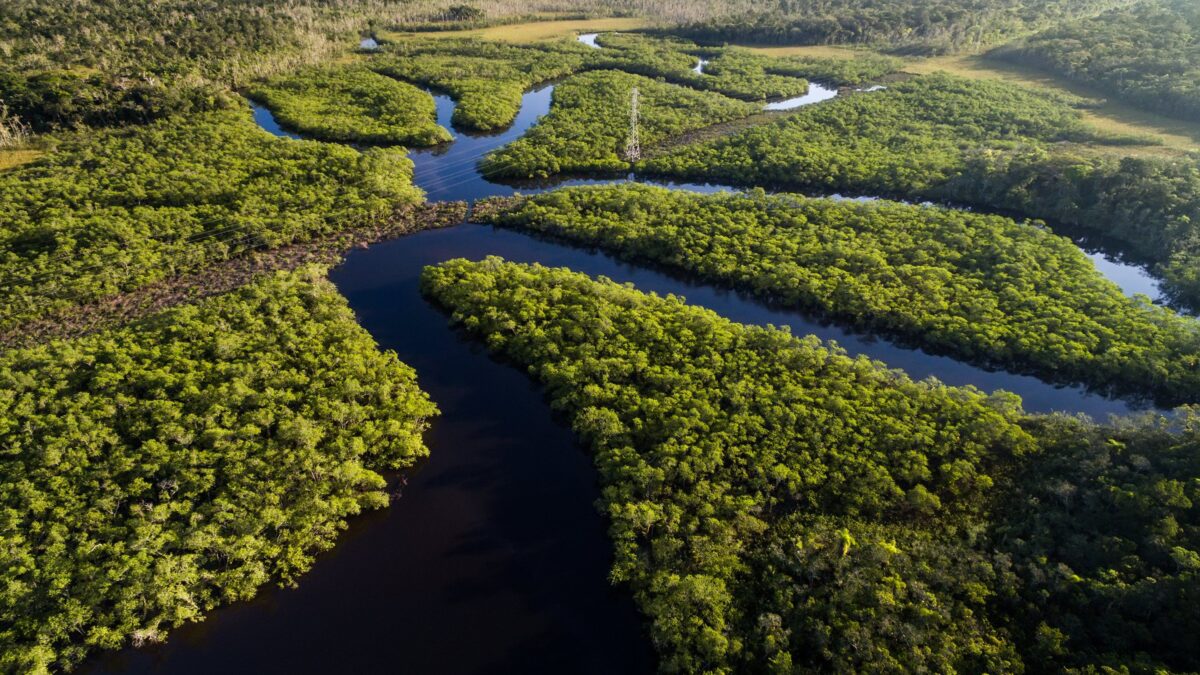 Amazzonia brasiliana risalendo il corso dei fiumi tra foreste infinite e delfini rosa