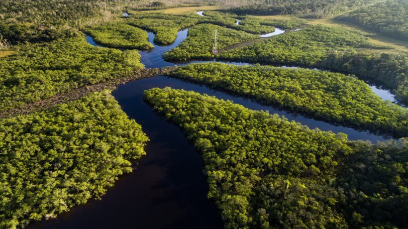 Amazzonia brasiliana risalendo il corso dei fiumi tra foreste infinite e delfini rosa