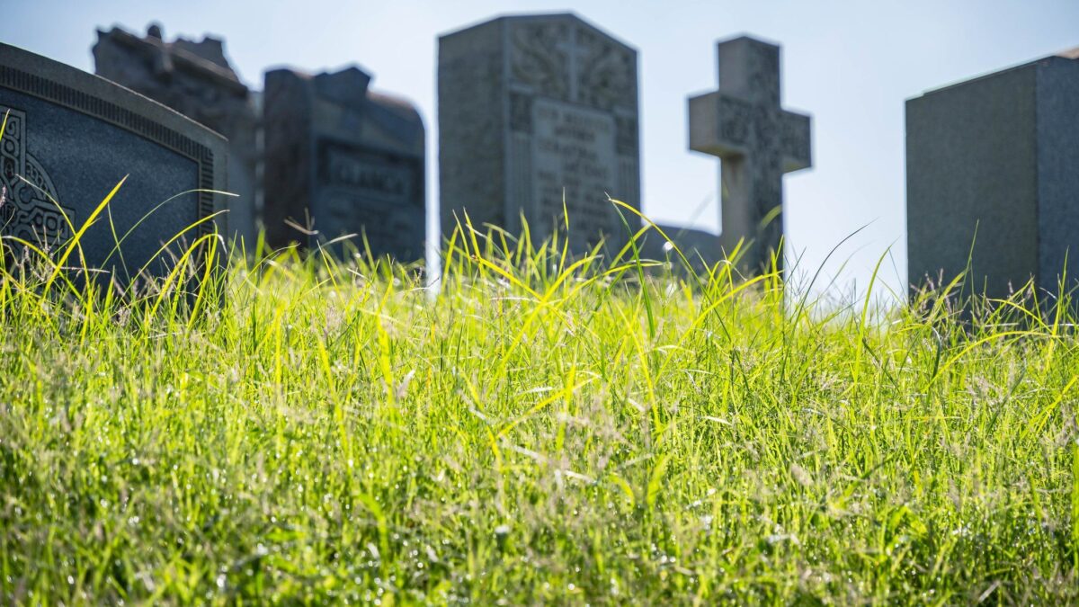 La religione green reclama i defunti. «I cari estinti? Ottimi fertilizzanti»