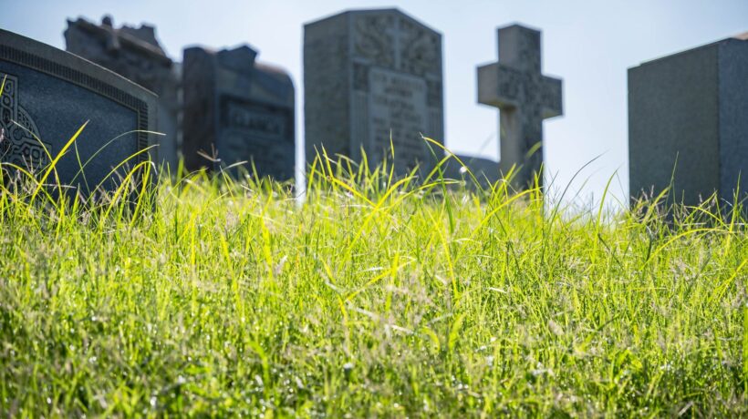 La religione green reclama i defunti. «I cari estinti? Ottimi fertilizzanti»