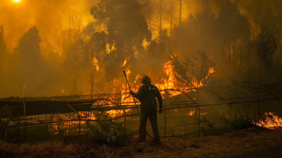 Spagna a fuoco, Sánchez fa fumo: «L’emergenza climatica accelera»