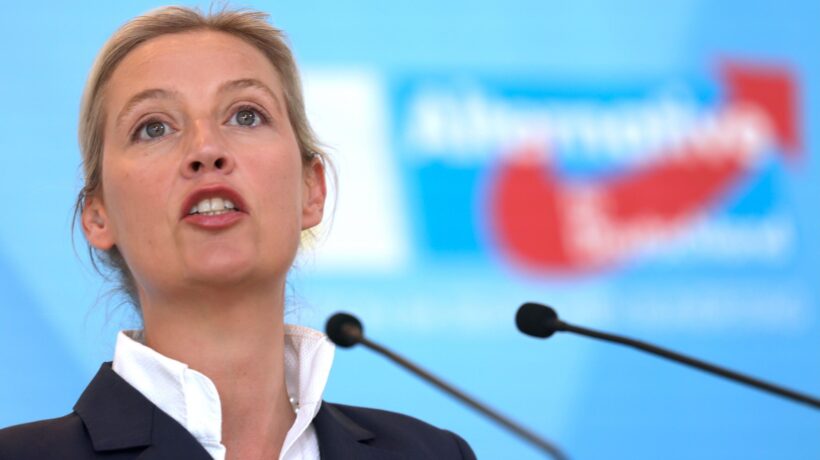 In patria provano a metterli al bando. E i capi di Afd volano alla Casa Bianca