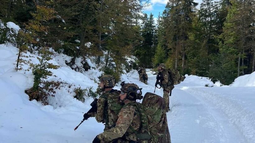 (Esercito Italiano)