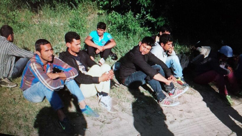 Ecco la fabbrica degli immigrati: così importiamo altre «risorse»