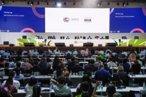Buone notizie dalla Cop30: la Ue ha perso la sua guerra su tagli a fossili e emissioni
