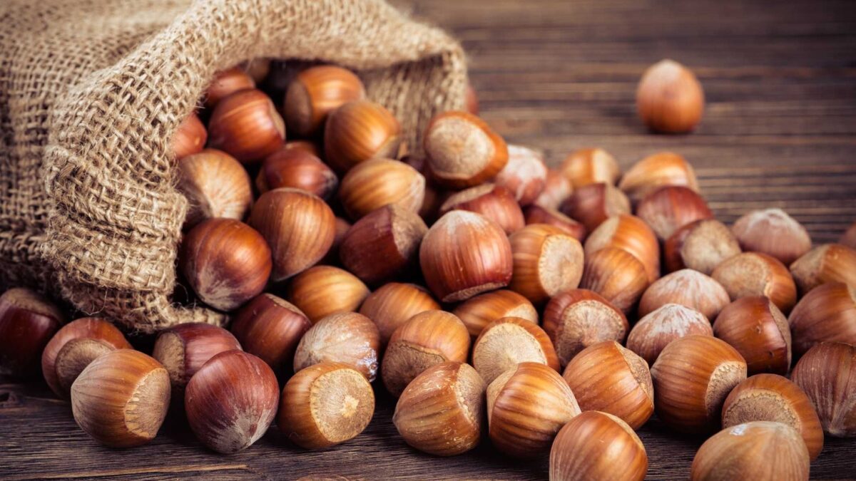 Da sgranocchiare o in versione «dolce». Le nocciole sono un simbolo di italianità