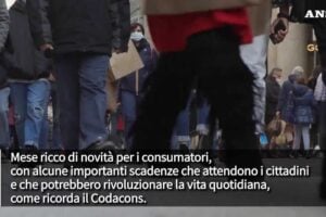 Multe e telefonate moleste: ecco le novità di novembre