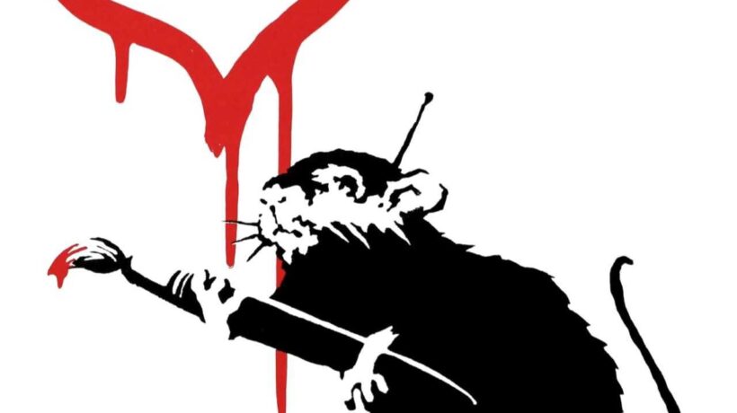 BANKSY e la Street Art in mostra a Conegliano