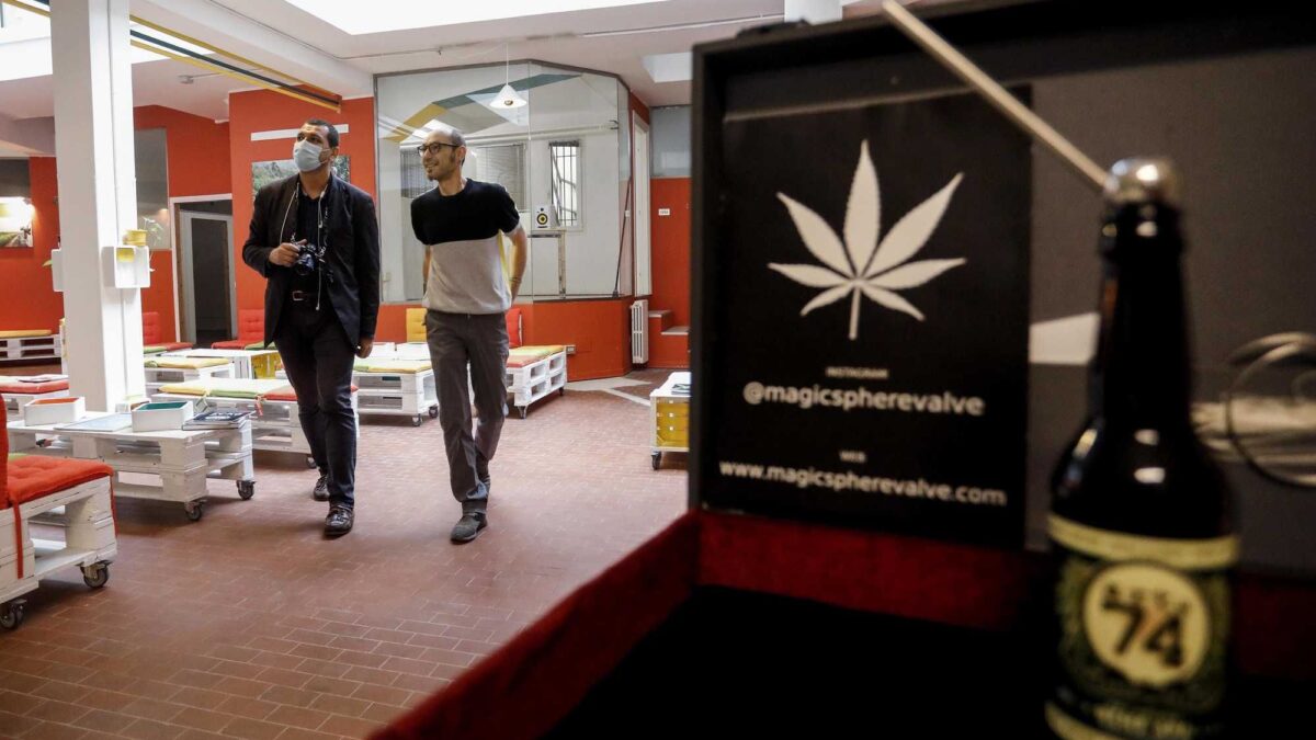 Fdi rilegalizza la cannabis, poi ci ripensa