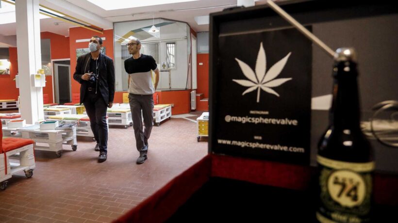 Fdi rilegalizza la cannabis, poi ci ripensa