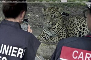 I Carabinieri e la biodiversità: celebrati i 50 anni di Cites