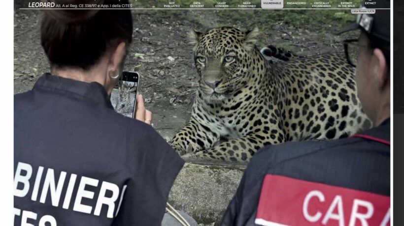 I Carabinieri e la biodiversità: celebrati i 50 anni di Cites