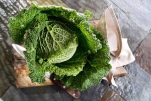 È arrivato l’inverno. Il cavolo verza è l’ortaggio perfetto da portare a tavola