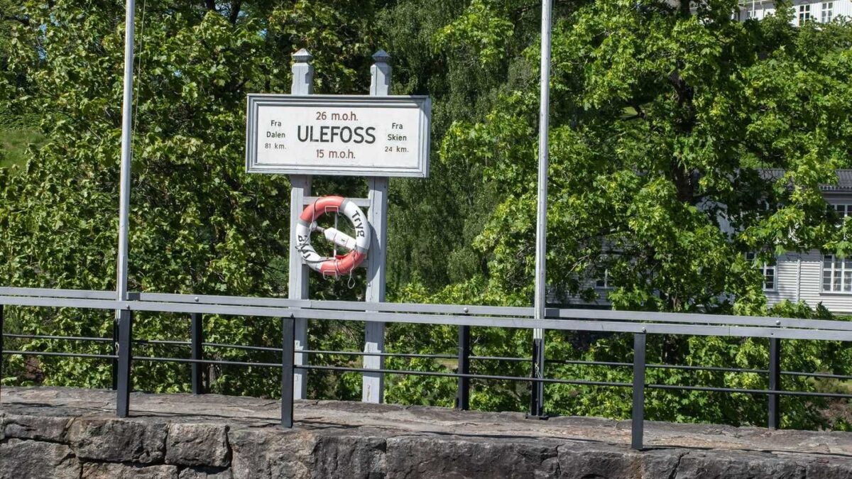Stop al maggior sito di terre rare d’Europa. È più importante difendere i coleotteri