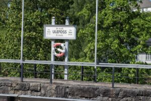 Stop al maggior sito di terre rare d’Europa. È più importante difendere i coleotteri