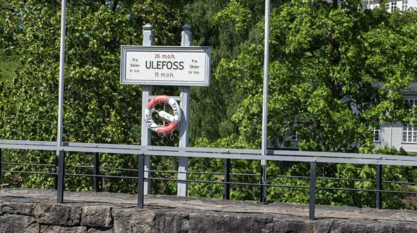 Stop al maggior sito di terre rare d’Europa. È più importante difendere i coleotteri