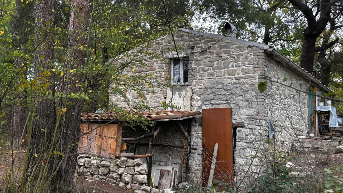 Il potere dà del pazzo a chi non si conforma