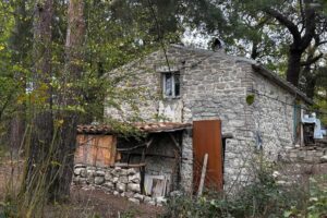 Il potere dà del pazzo a chi non si conforma