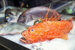 Alternativa magra al salmone per chi cerca gli omega 3. Le virtù dello scorfano, il «brutto» ras dei fondali